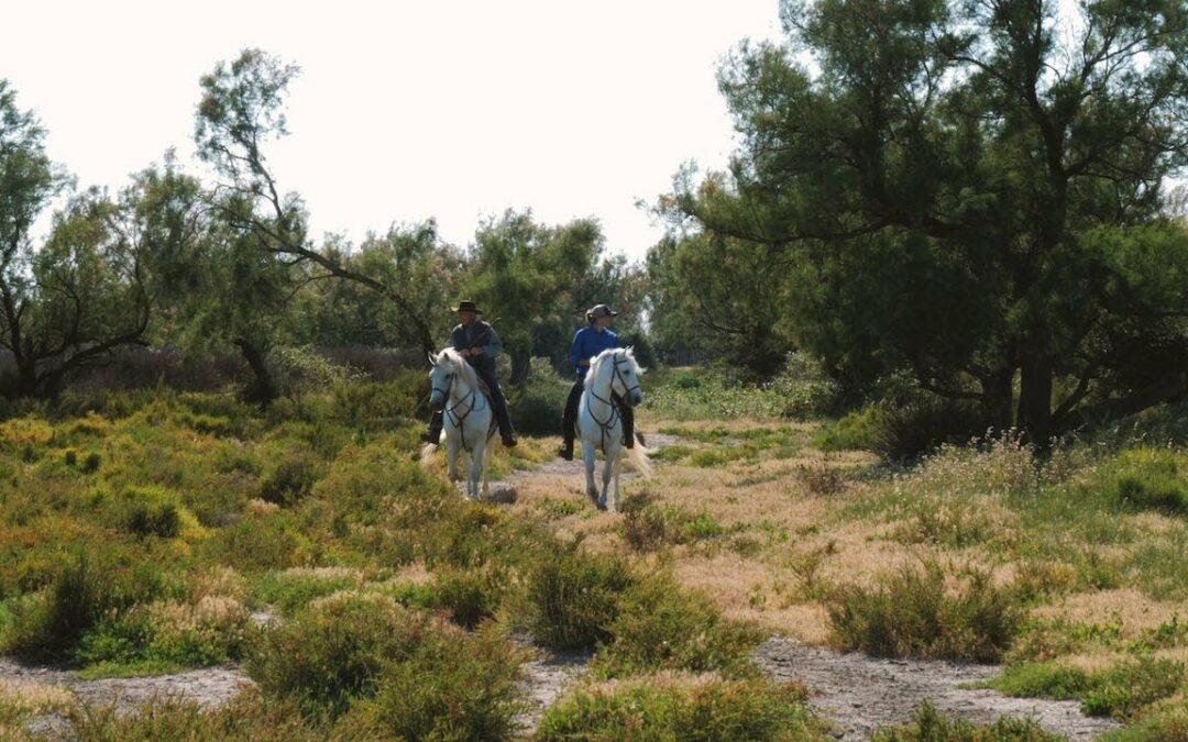 Voyage en Camargue : le territoire sauvage et authentique