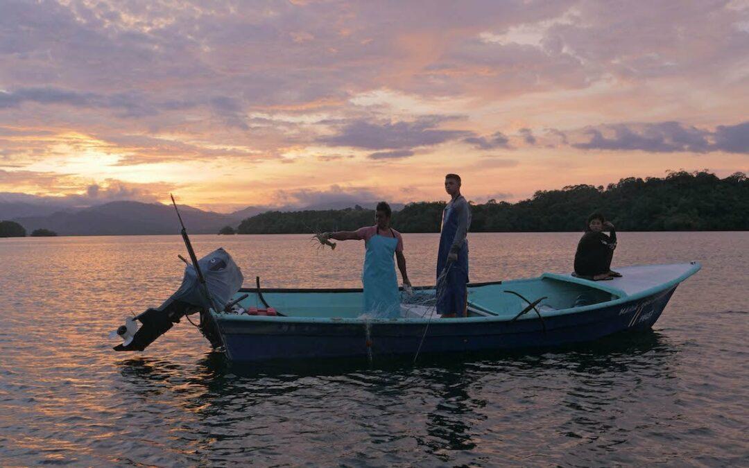 Nicoya : à la découverte d’un joyau du Costa Rica