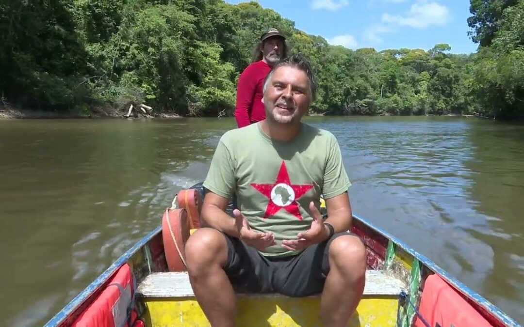 Voyage en Guyane : immersion dans le cœur vert de l’Amazonie