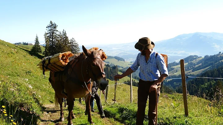 Voyage Suisse : Une Odyssée Électrique à Travers le Cœur des Alpes