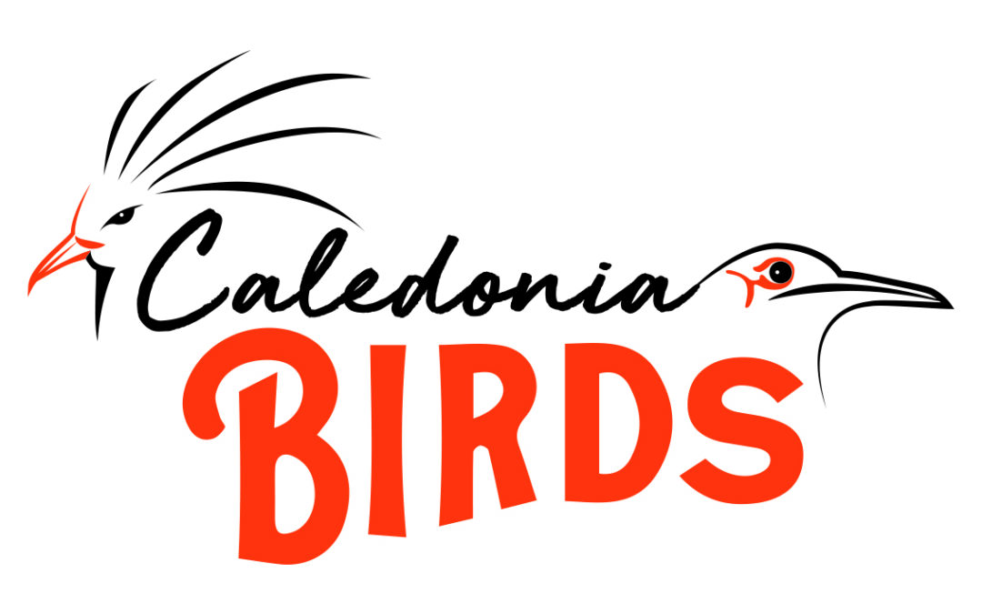 Caledonia birds, Lauréat 2023, prix du jury, loisirs