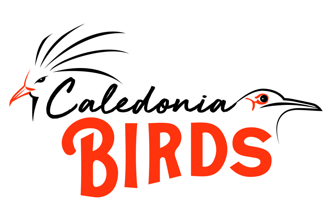 CALEDONIA BIRDS