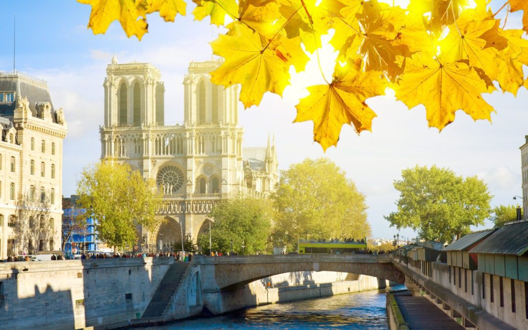 Tootbus Paris : Un virage vert au cœur de la capitale 