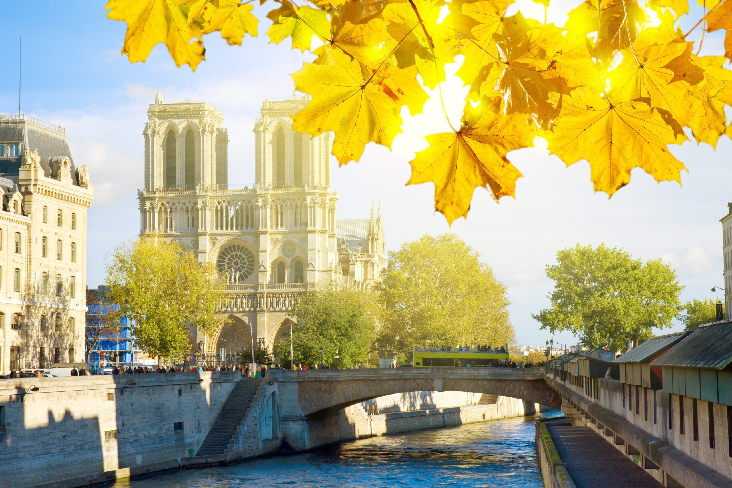 Notre Dame de Paris - Photo : Depositphots.com