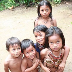 Reprise des activités du département de tourisme éco-responsable, durable et solidaire de Quimbaya Latin America 654a166c24de8