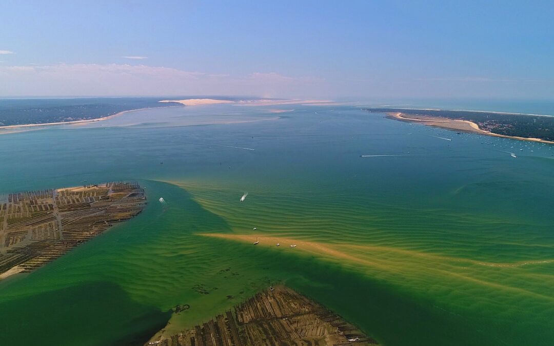 ARCACHON ECOTOURS