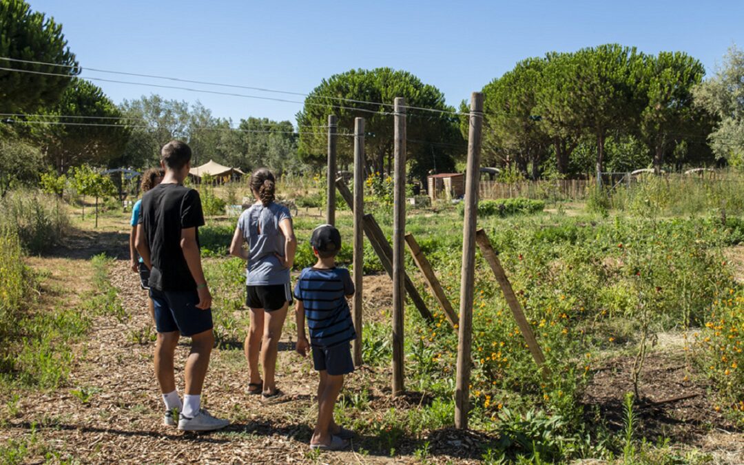 Le camping Les Sablons continue sa transition durable